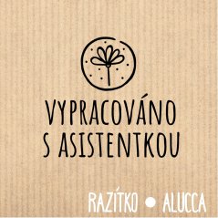 vypracováno s asistentkou