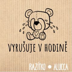 vyrušuje  v hodině