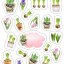 samolepky  Hyacinty