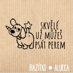 už můžeš psát perem