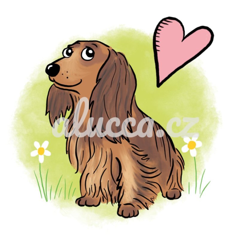 ilustrace / karikatura vašeho mazlíčka