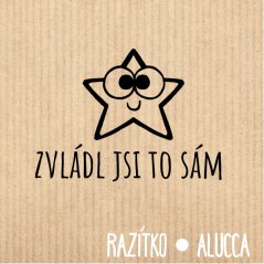 zvládl jsi to sám