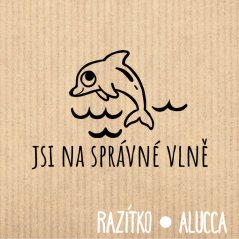 jsi na správné vlně