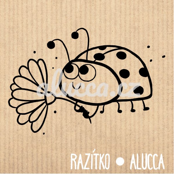 beruška - Velikost: 6 cm