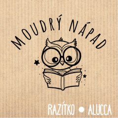 moudrý nápad