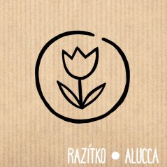 tulipánek