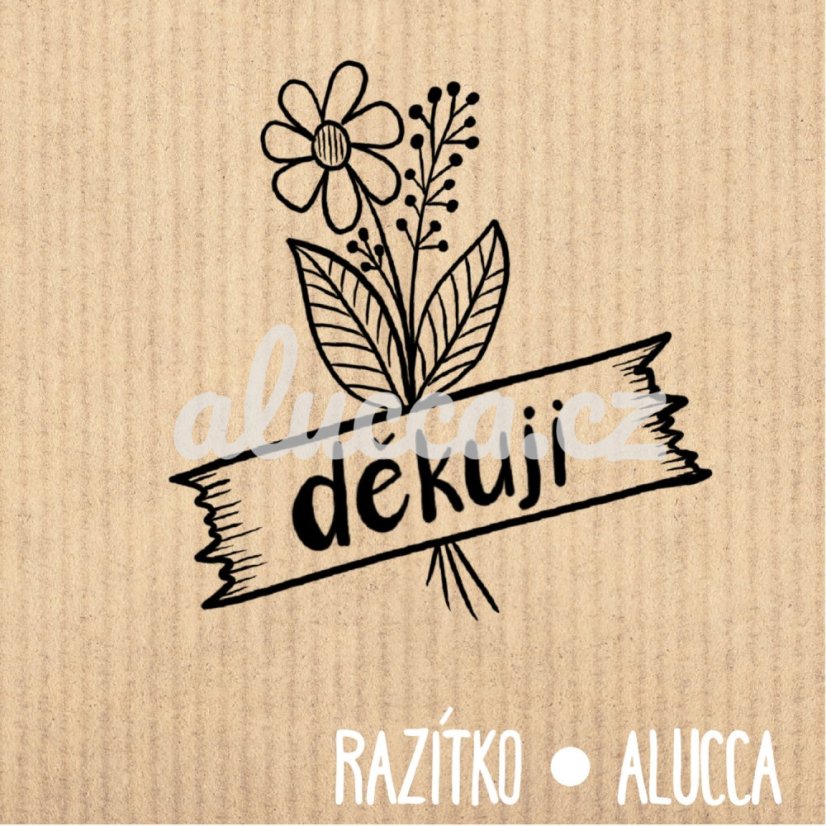 děkuji děkuji