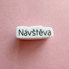 návštěva