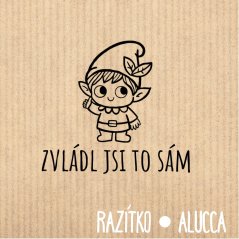 zvládl jsi to sám