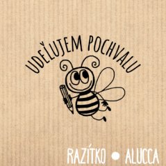 udělujem pochvalu