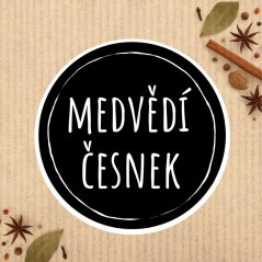 medvědí česnek