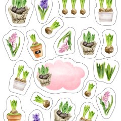 samolepky Hyacinty