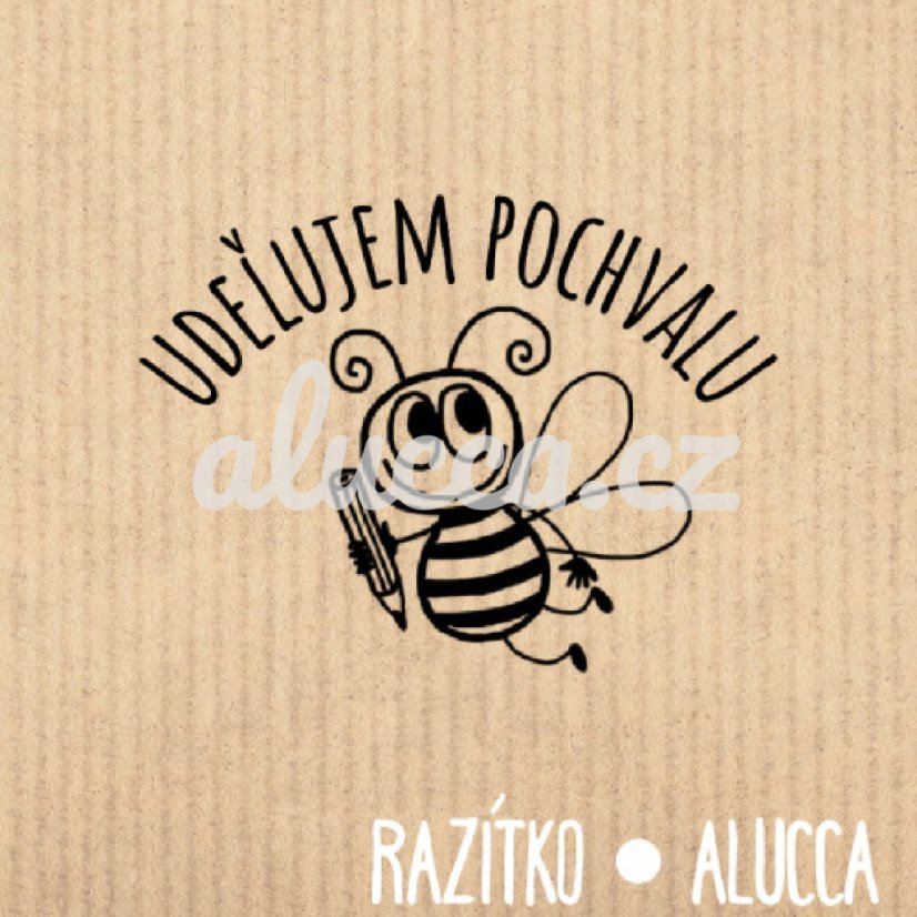 udělujem pochvalu