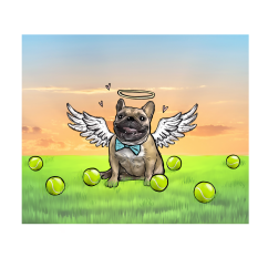 ilustrace / karikatura vašeho mazlíčka