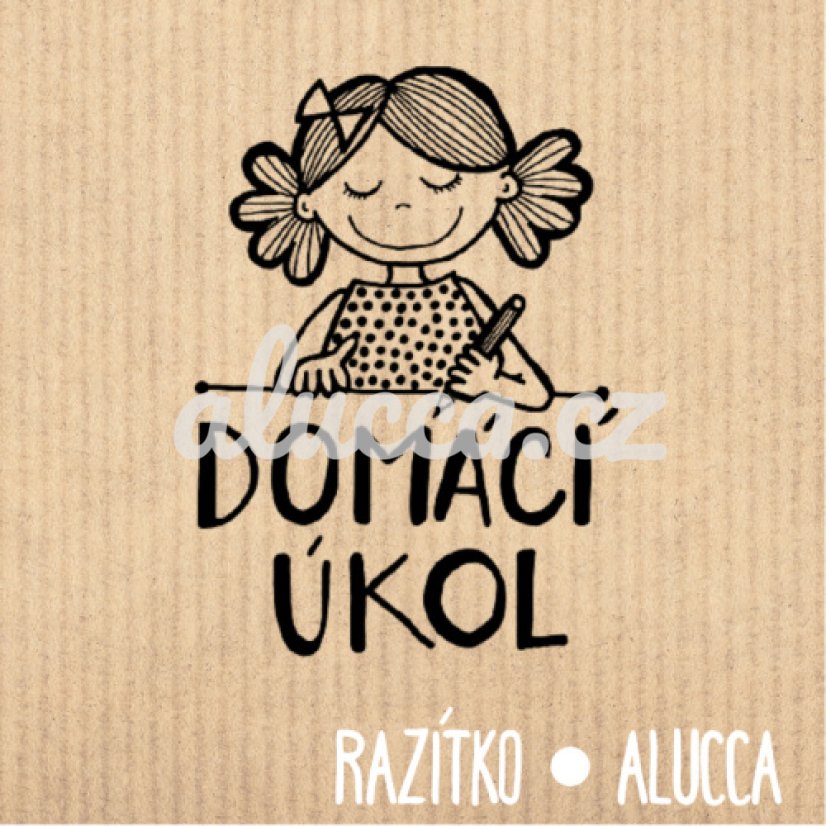 domácí úkol