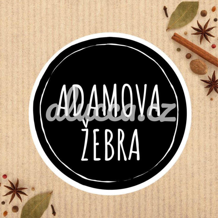 adamova žebra